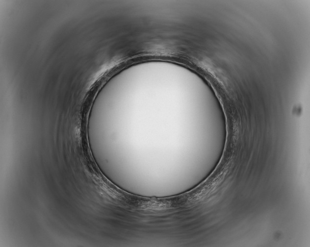X0000097981307200804071114