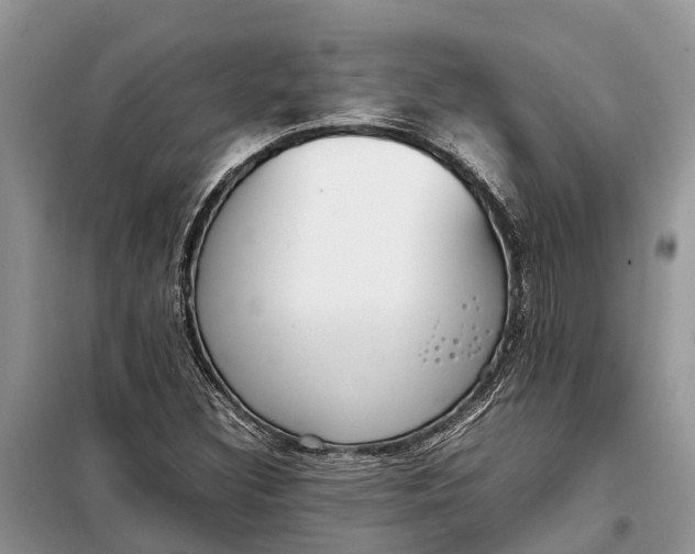 X0000097981308200804071114