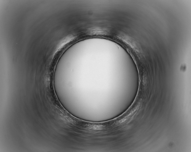 X0000097981309200804071114