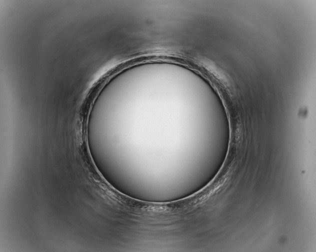 X0000097981310200804071114