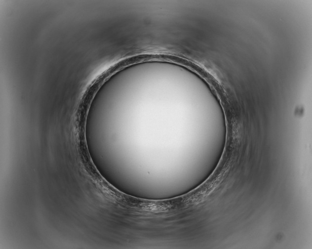 X0000097981311200804071114