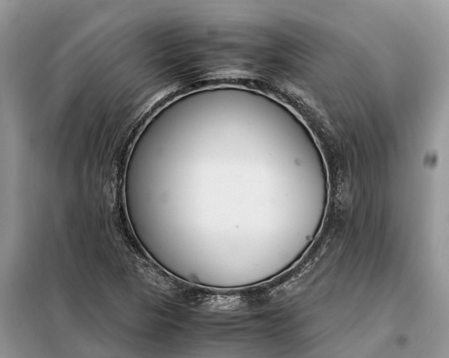 X0000097981313200804071114