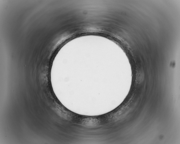 X0000097981314200804071114