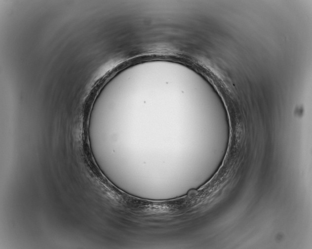 X0000097981315200804071114