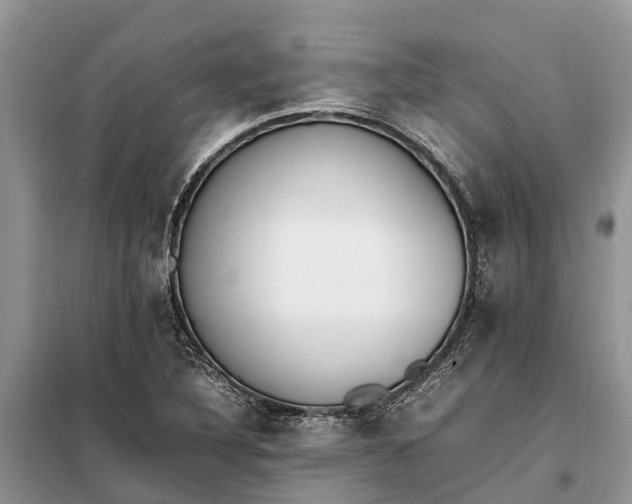 X0000097981316200804071114