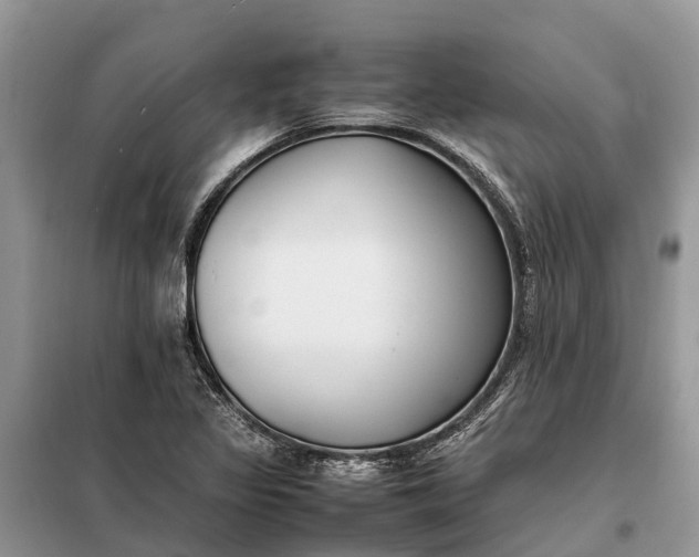 X0000097981317200804071114