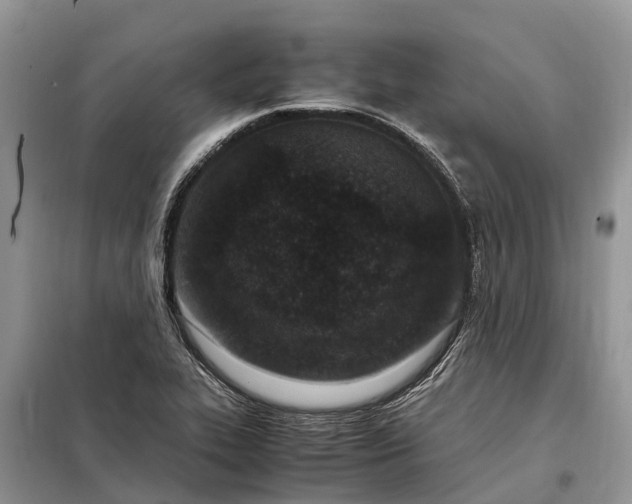 X0000097981319200804071114