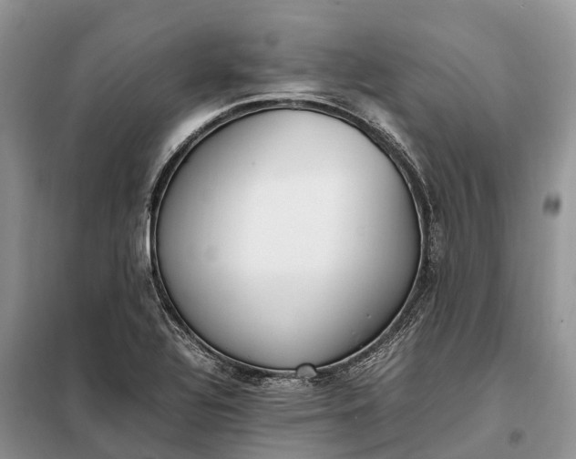X0000097981320200804071114