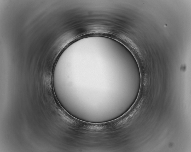 X0000097981321200804071114