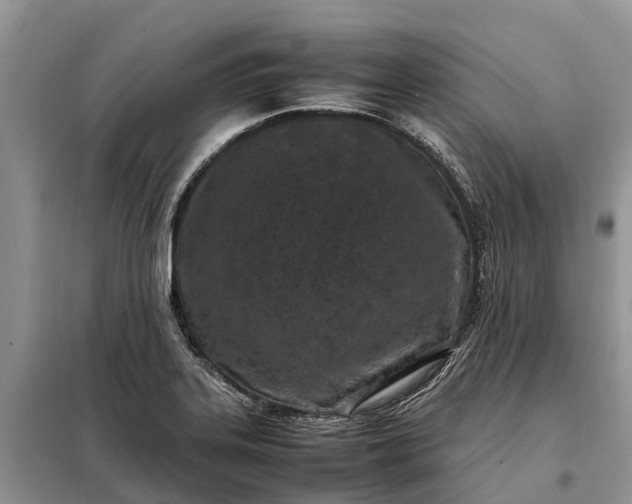 X0000097981323200804071114