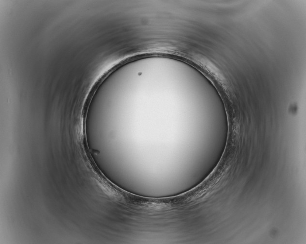 X0000097981324200804071114