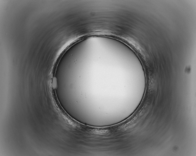 X0000097981325200804071114