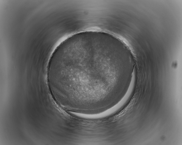 X0000097981326200804071114