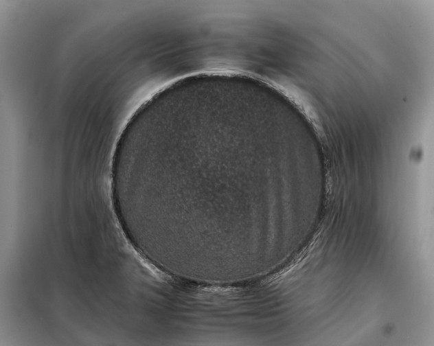 X0000097981327200804071114
