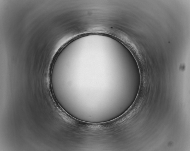 X0000097981328200804071114