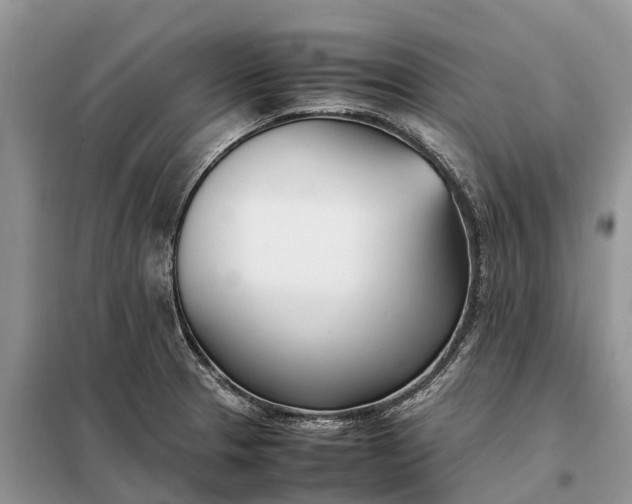 X0000097981329200804071114