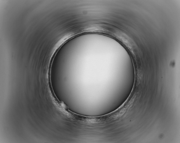 X0000097981330200804071114