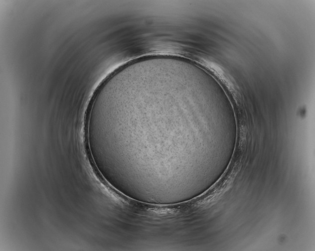 X0000097981331200804071114