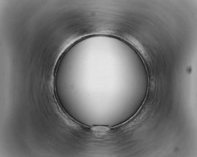 X0000097981332200804071114