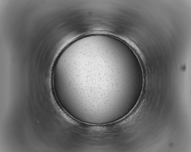 X0000097981333200804071114
