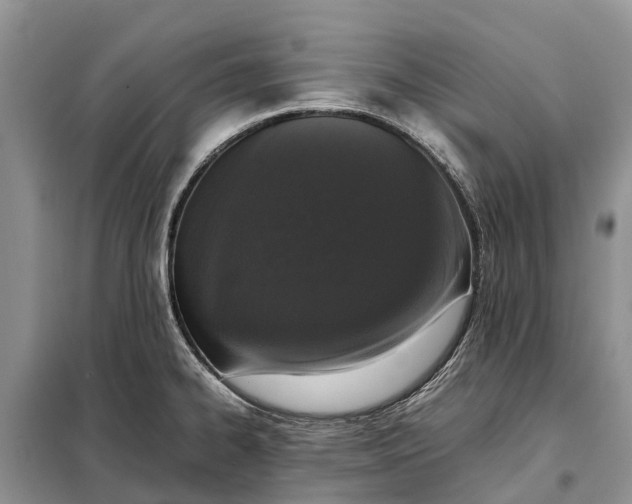 X0000097981334200804071114