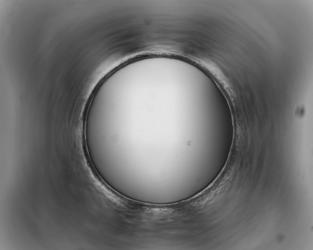X0000097981335200804071114