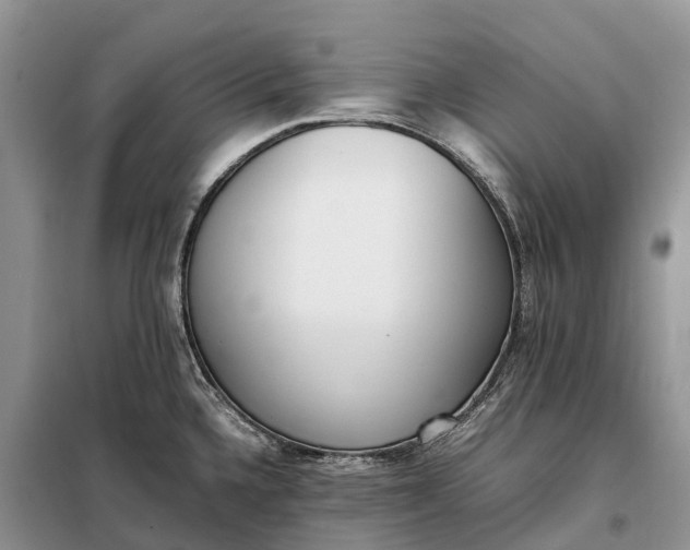 X0000097981336200804071115