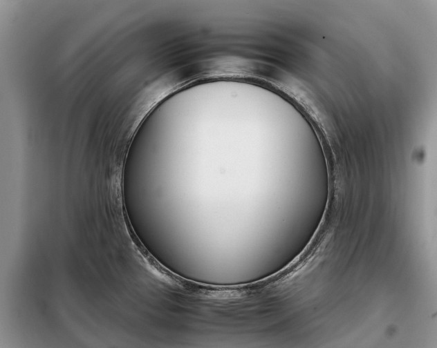 X0000097981337200804071115