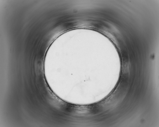 X0000097981338200804071115