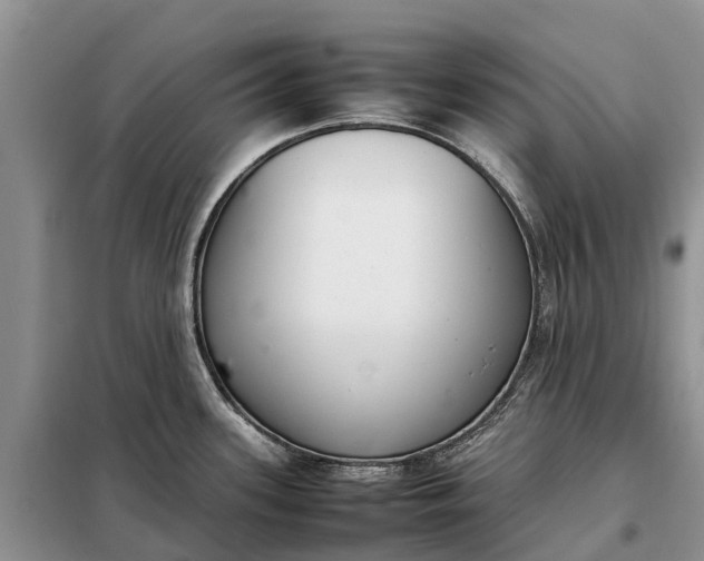 X0000097981339200804071115