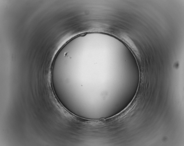 X0000097981340200804071115