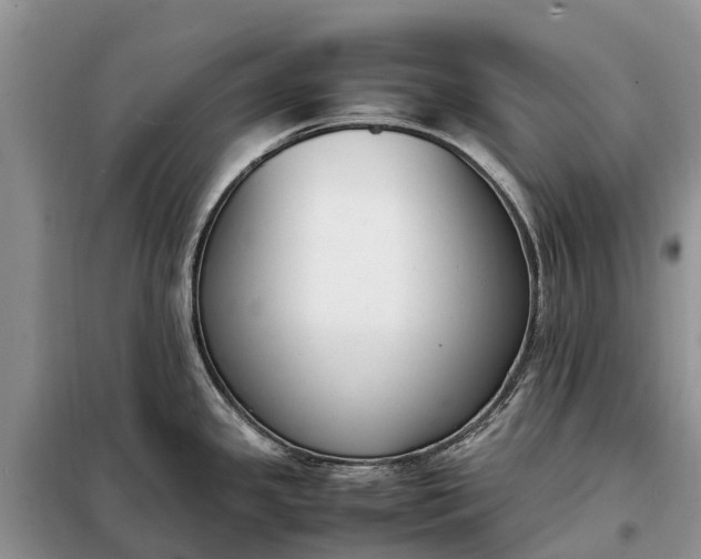 X0000097981341200804071115