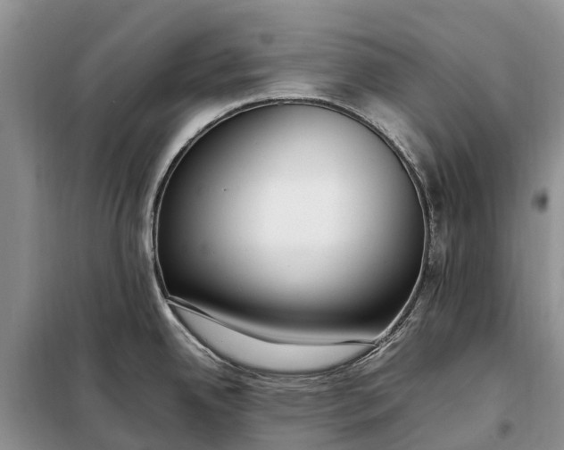 X0000097981342200804071115