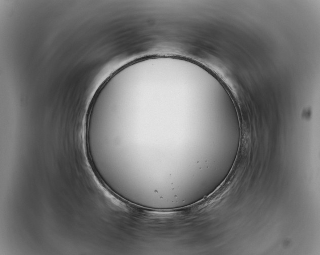 X0000097981343200804071115