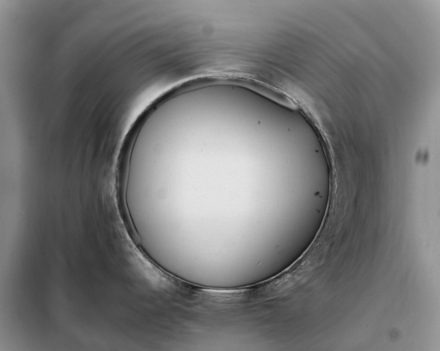 X0000097981344200804071115