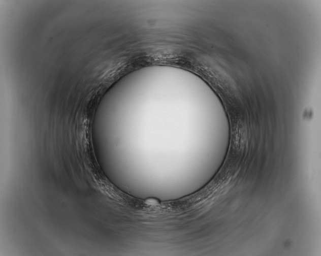 X0000097981346200804071114