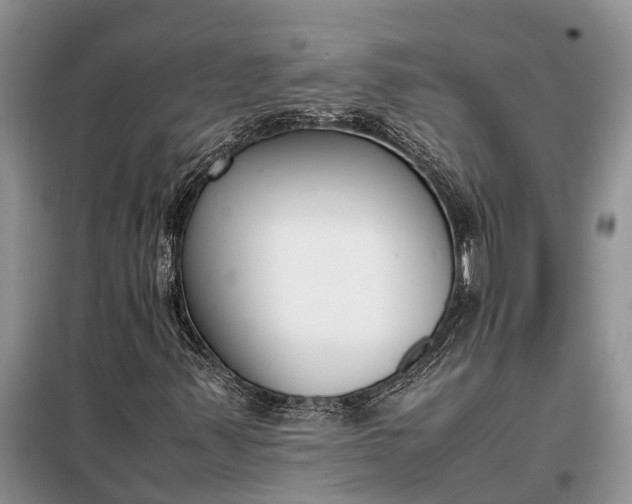 X0000097981347200804071114
