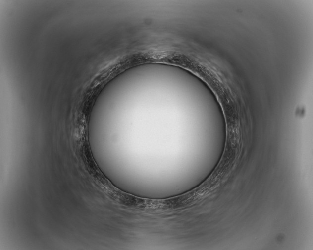 X0000097981349200804071114
