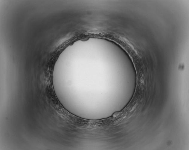 X0000097981350200804071114