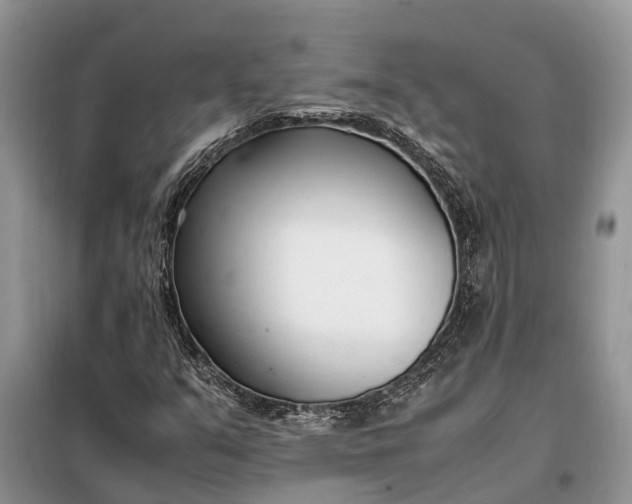 X0000097981351200804071114