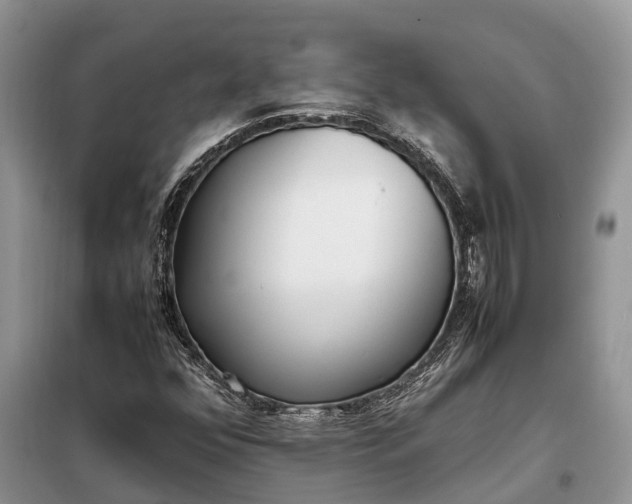 X0000097981352200804071114