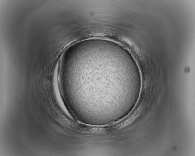X0000097981353200804071114