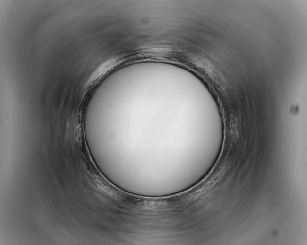 X0000097981354200804071113