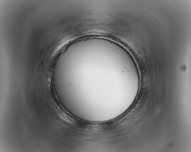 X0000097981355200804071113