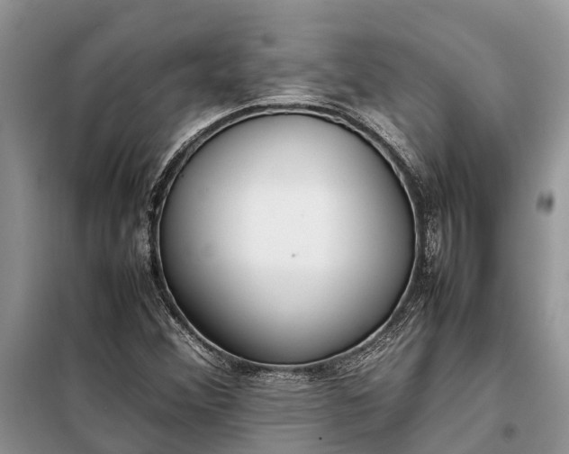 X0000097981356200804071113
