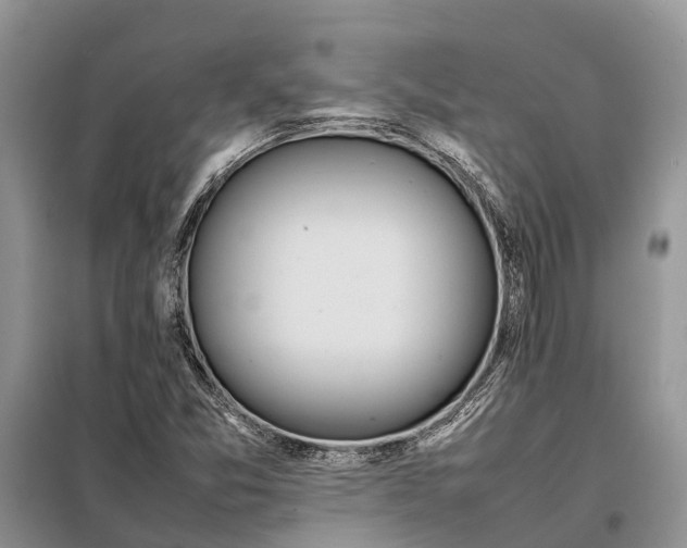 X0000097981357200804071113