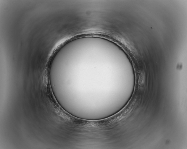 X0000097981358200804071113