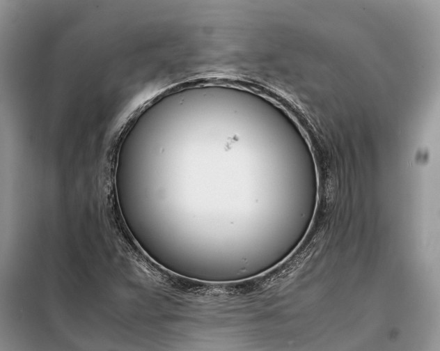 X0000097981359200804071113