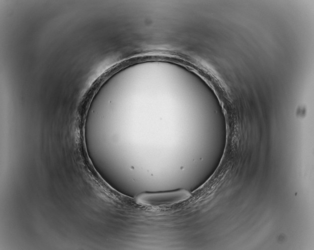 X0000097981360200804071113