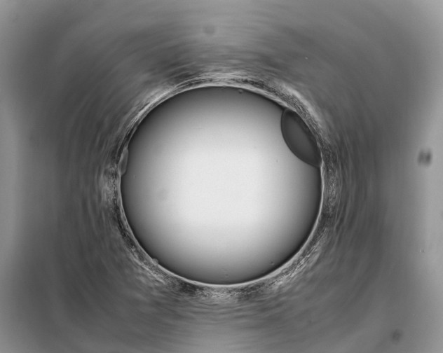 X0000097981361200804071113